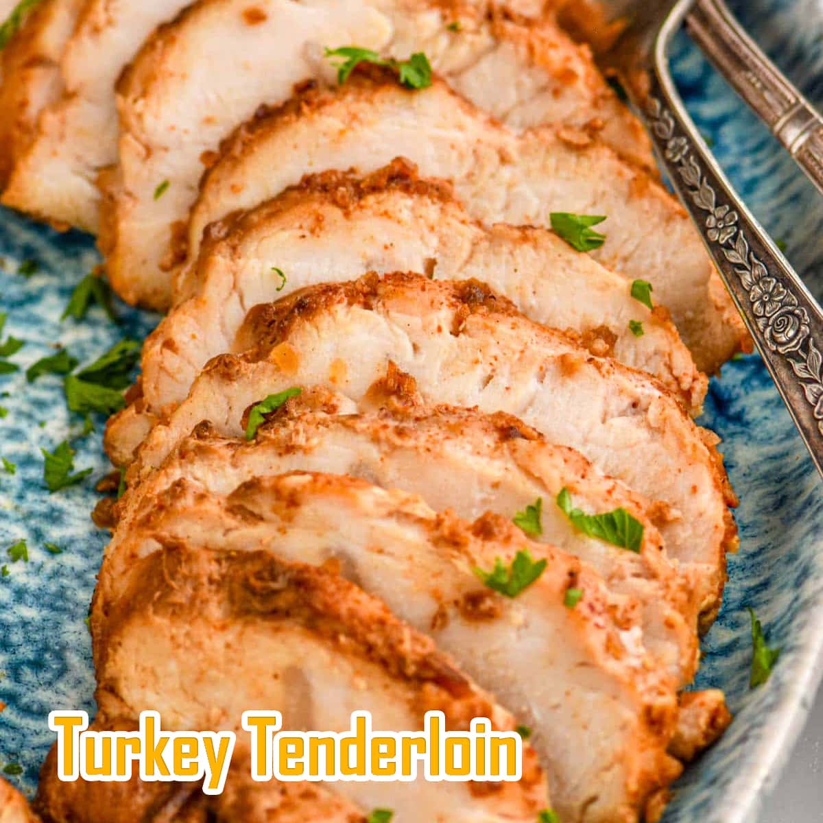 Turkey Tenderloin