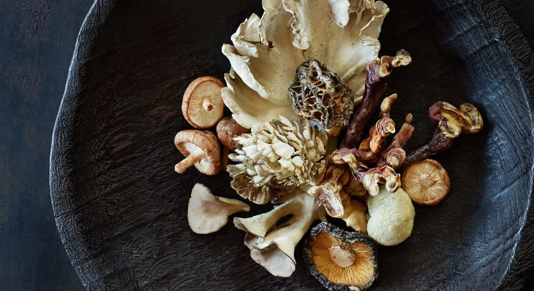 Medicinal-mushrooms Medicinal mushrooms