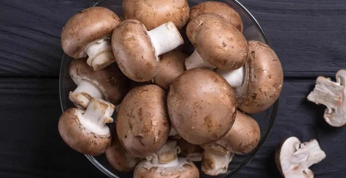 Mushroom Mushroom