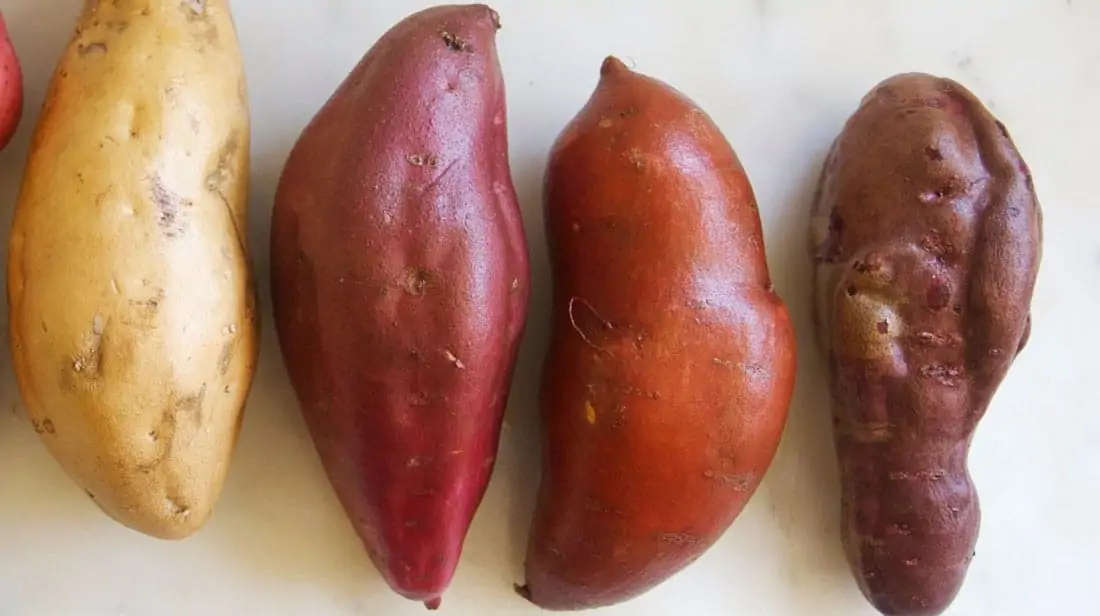 Differences between a Japanese sweet potato and a regular sweet potato: