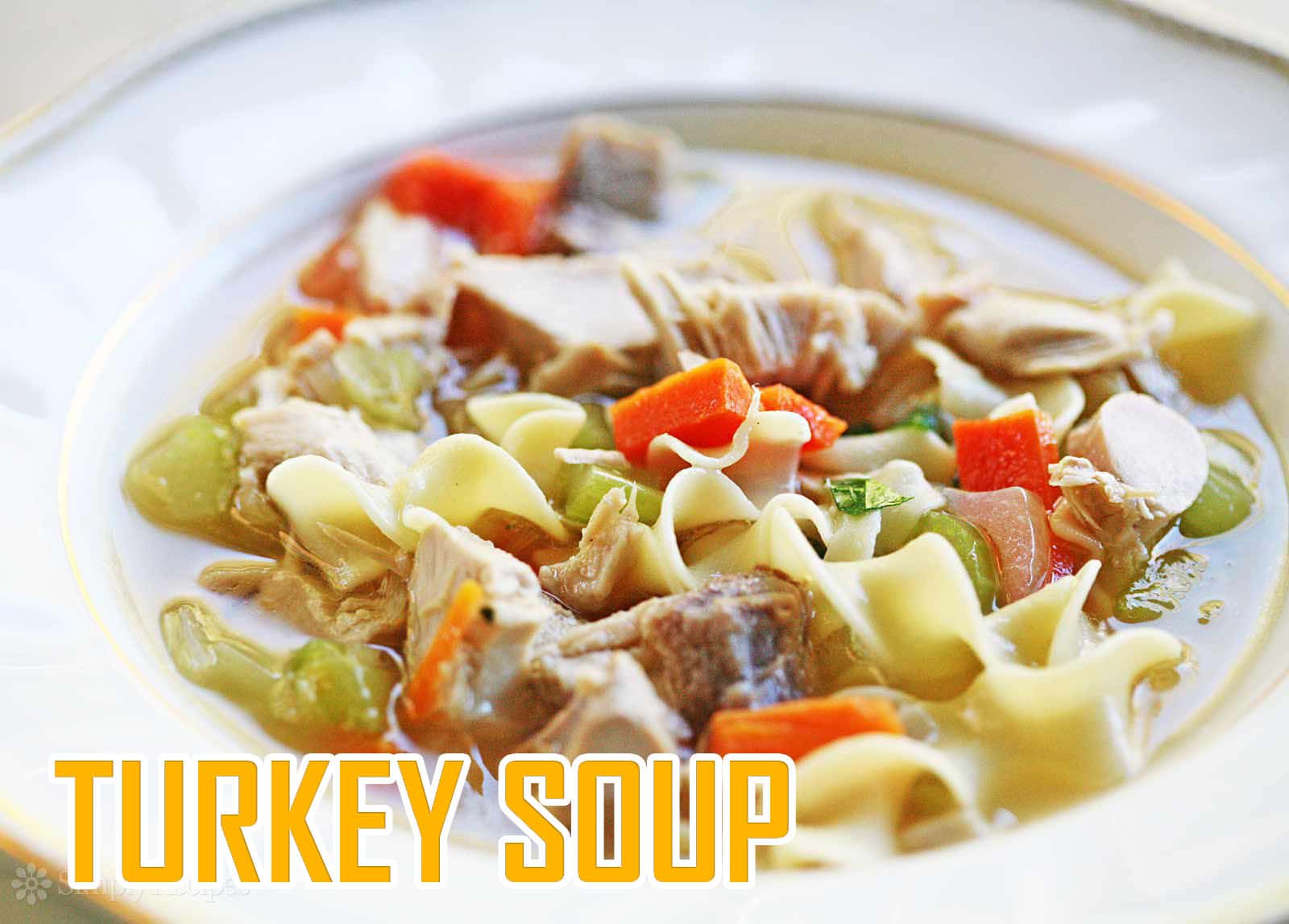 Turkey soup fryerly