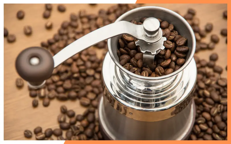 A Comprehensive Guide to Making Sunflower Oil on Your Own 11 Coffee Grinder for sunflower oil making
