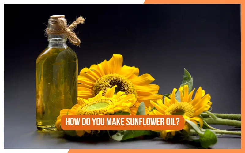 A Comprehensive Guide to Making Sunflower Oil on Your Own 1 How Do You Make Sunflower Oil