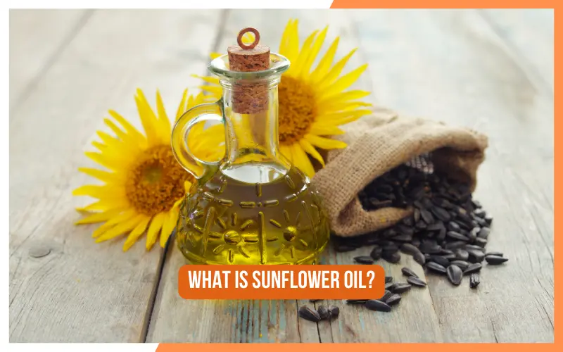 A Comprehensive Guide to Making Sunflower Oil on Your Own 3 What is Sunflower Oil